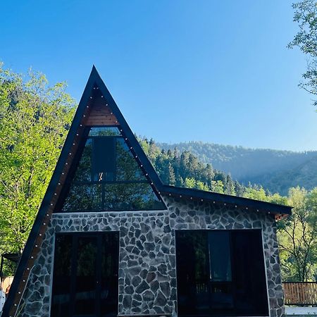 Cottage Orcs Bordzjomi Buitenkant foto