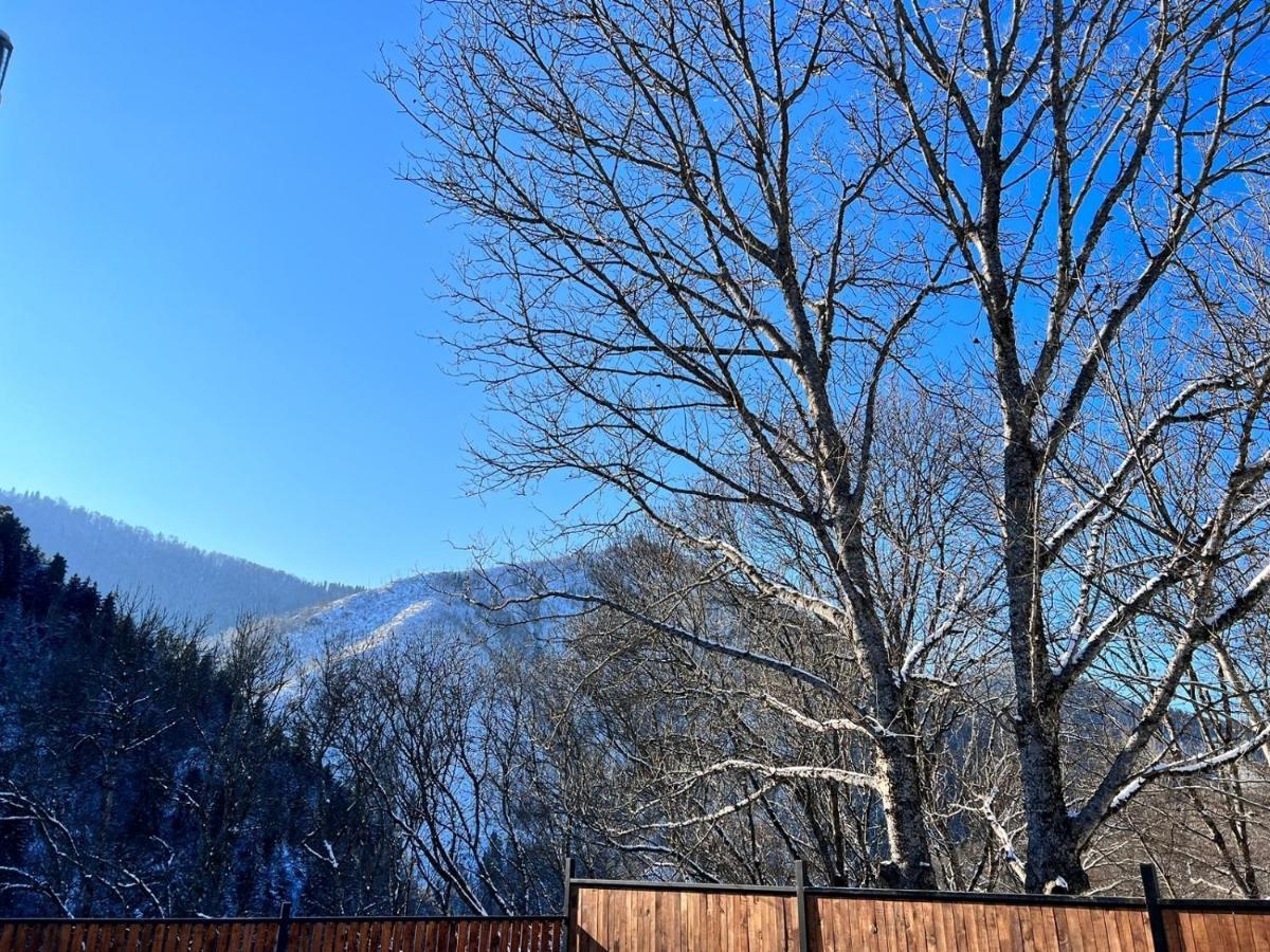 Cottage Orcs Bordzjomi Buitenkant foto