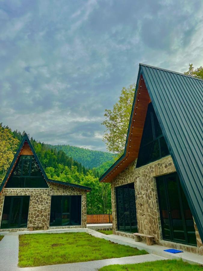 Cottage Orcs Bordzjomi Buitenkant foto