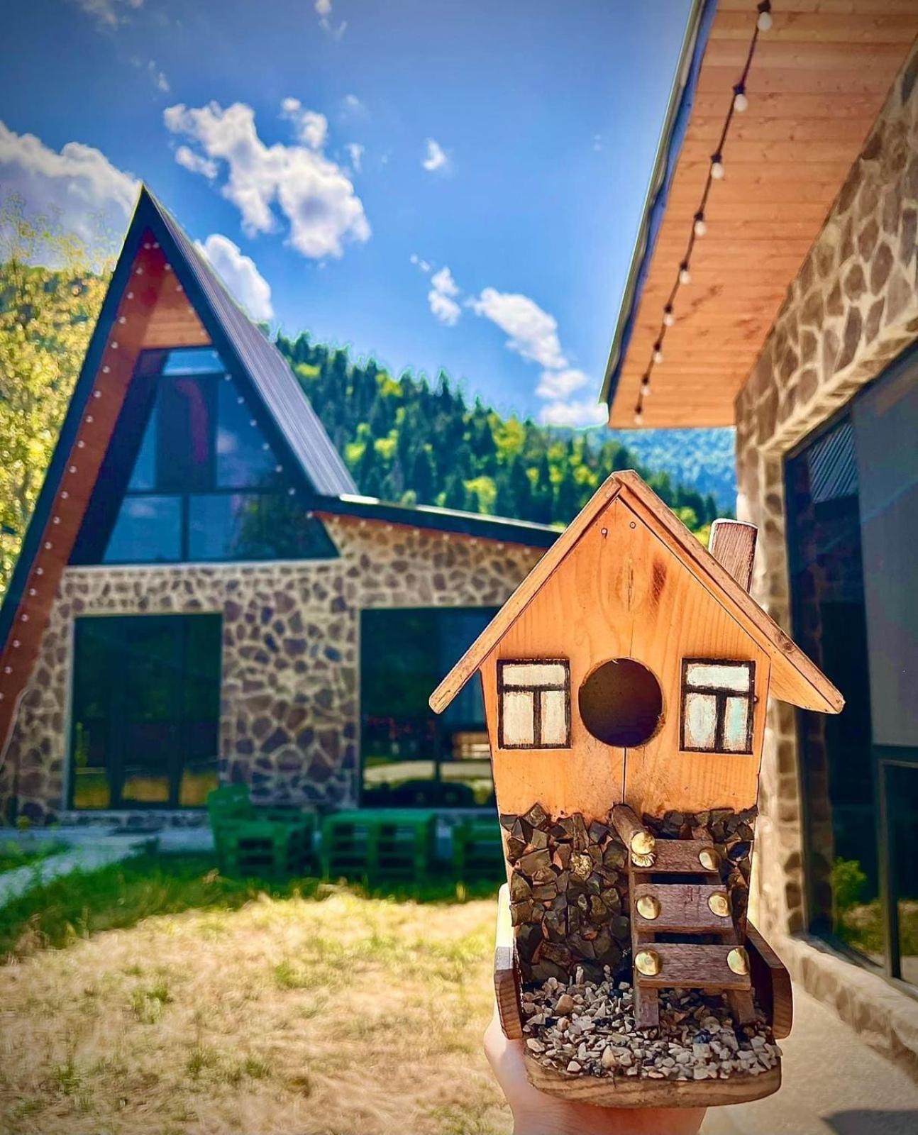 Cottage Orcs Bordzjomi Buitenkant foto