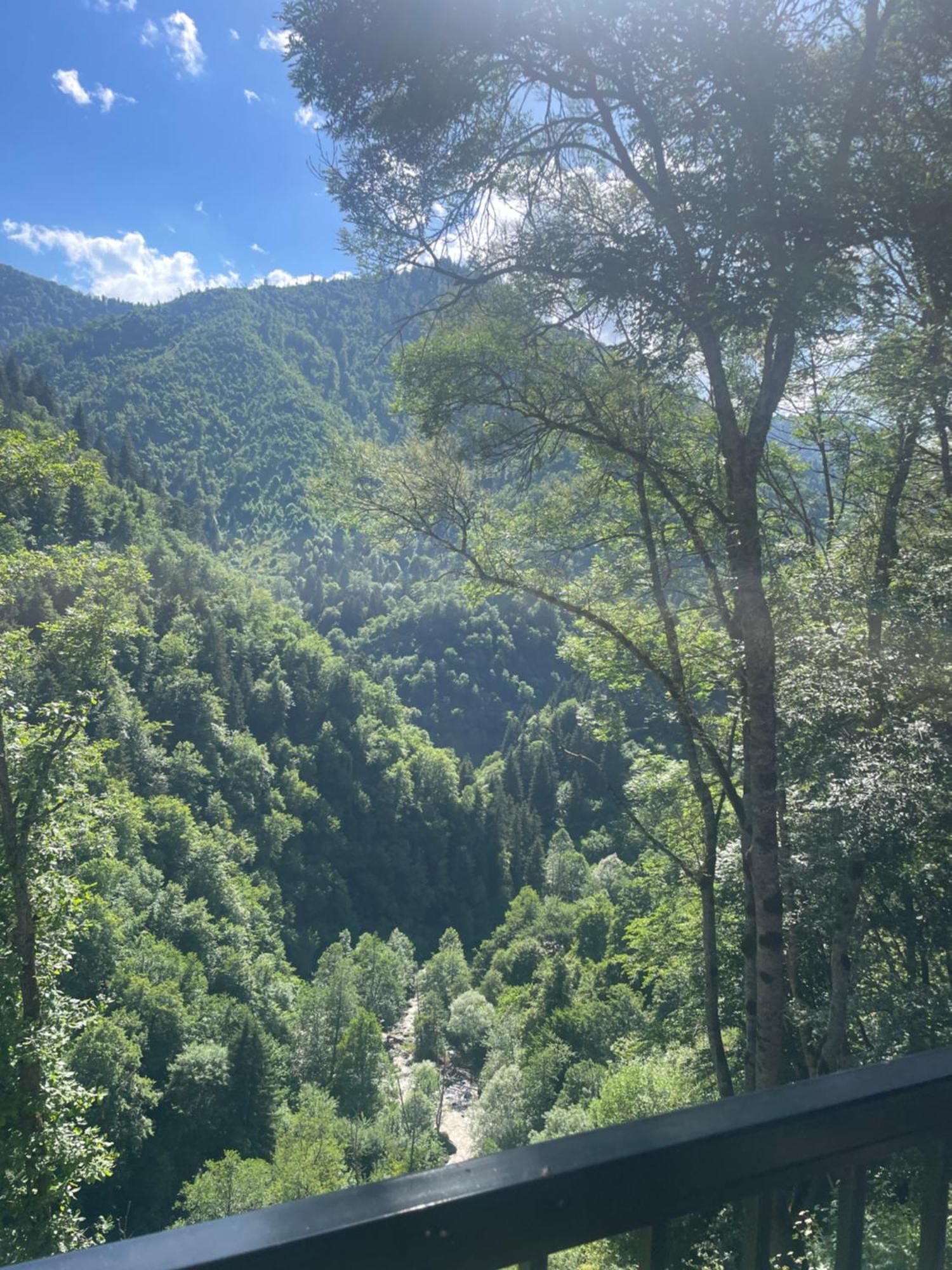 Cottage Orcs Bordzjomi Buitenkant foto